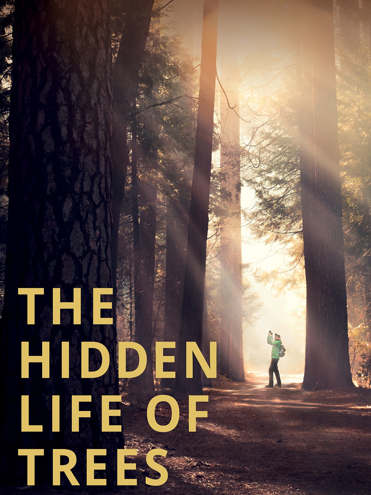 The Hidden Life of Trees
